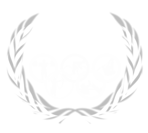 sello de excelencia en formación deportiva hc